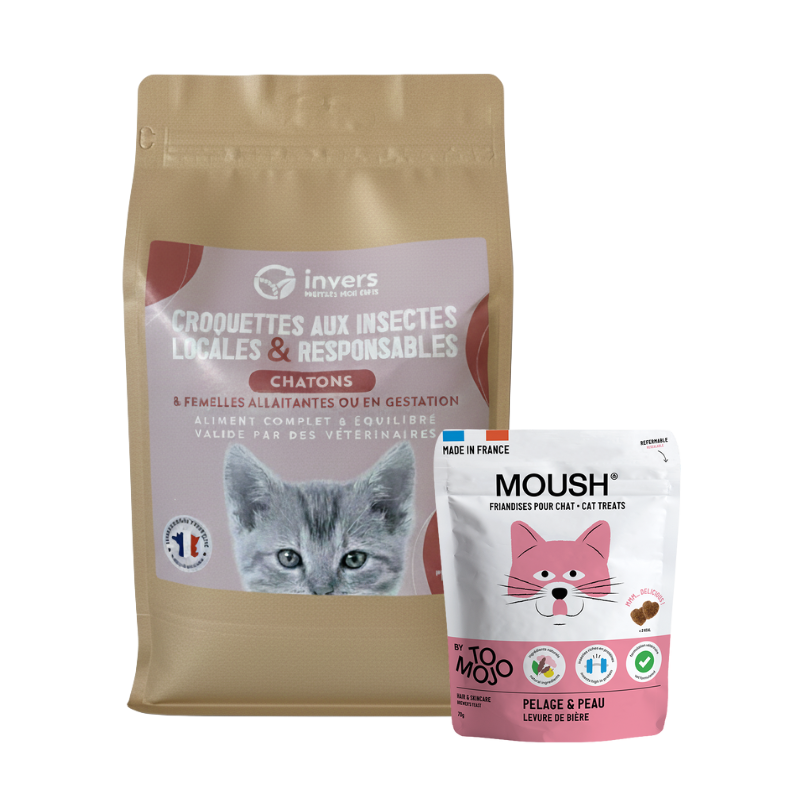 Pack chaton