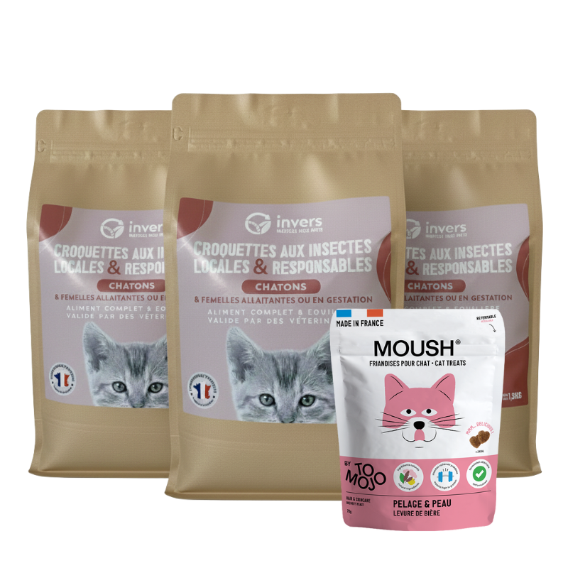 Pack chaton – Image 2