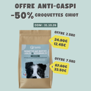 Pack chiot