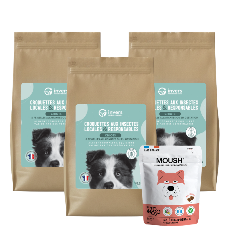 Pack chiot – Image 2