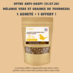 Mélange de vers de farine et de tournesol décortiqué