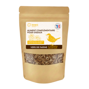 Mélange de vers de farine et de tournesol décortiqué