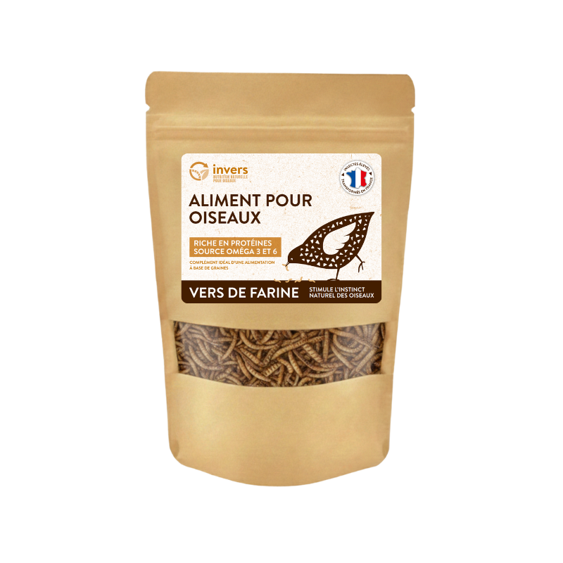 Vers de farine déshydratés – Image 2