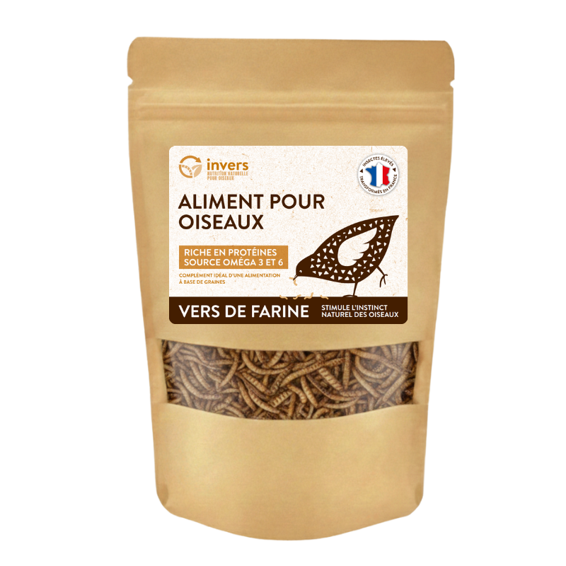 Vers de farine déshydratés – Image 3