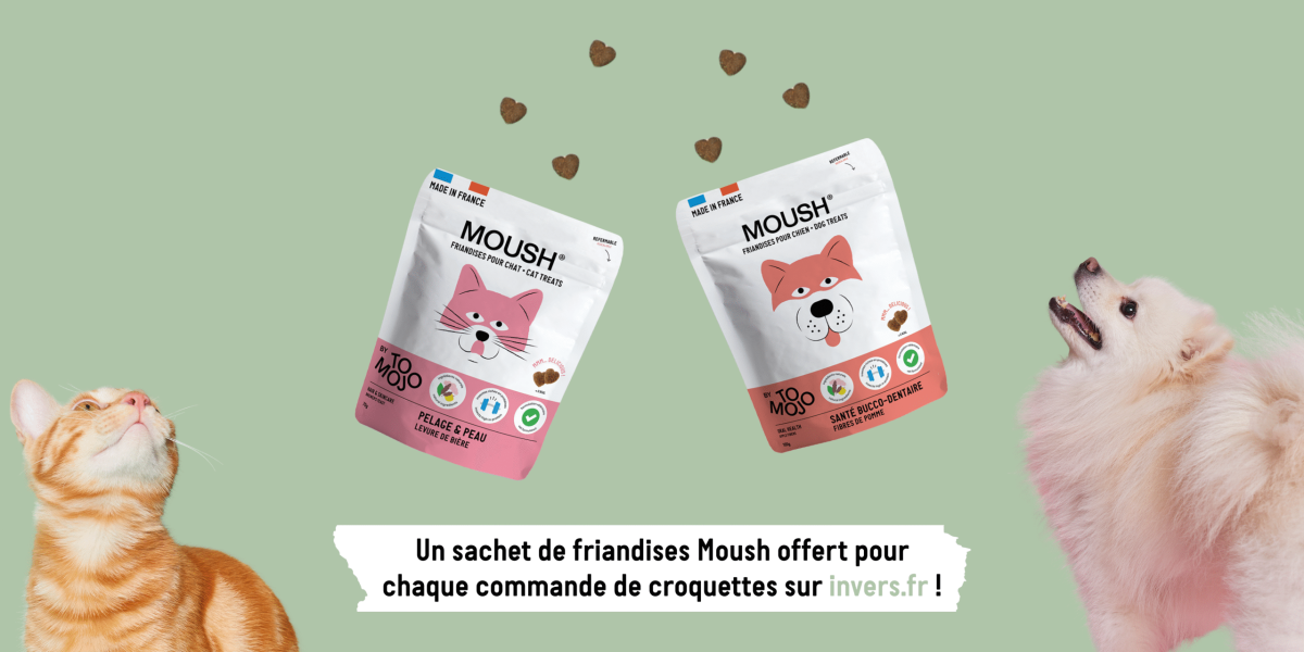 Une friandise moush offerte