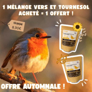 Mélange de vers de farine et de tournesol décortiqué